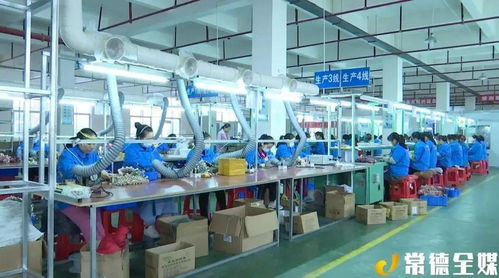 澧縣電子廠落戶 家門口就業新機遇與企業管理咨詢的價值