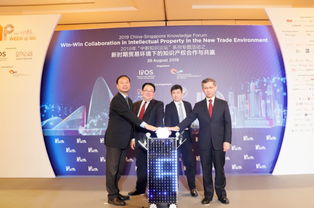 深化中新知識產(chǎn)權(quán)交流,加快推進合作項目落地