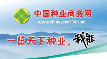 這里有一套種子包裝二維碼解決方案,請收下