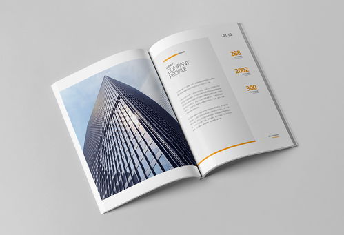 簡(jiǎn)約大氣，專(zhuān)業(yè)信賴(lài) 商務(wù)咨詢(xún)與投資企業(yè)公司畫(huà)冊(cè)